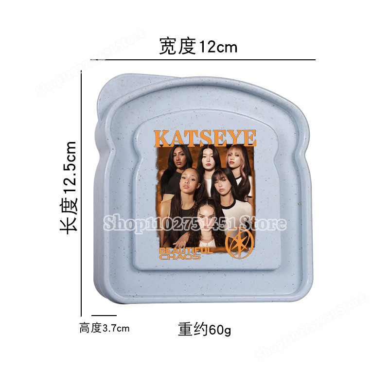 Fashion K-Katseye Pattern Unis - Men'S Accessories Drawer Organizer ulasan dan harga